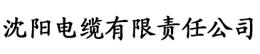 超碰亚洲综合电缆厂logo